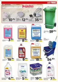 Folleto FROIZ Página 13: Ariel Pods Profesional €19,95, Flota Esencia €4,99