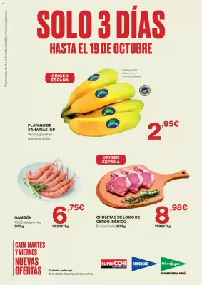 Hipercor (válido hasta el 19-10)