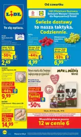 Lidl gazetka Strona 1