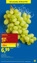 Lidl gazetka Strona 13