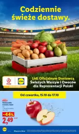 Lidl gazetka Strona 46