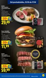 Lidl gazetka Strona 67