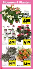 Vomar Voordeelmarkt folder week 43 Pagina 37: Cyclaam €5,99, Mini Orchidee in Keramiek €4,99