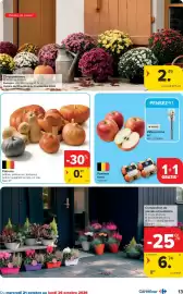 Carrefour folder Pagina 13: Potirons €0,89, Chrysanthèmes €2,49