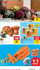 Carrefour Market folder week 43 Pagina 3: Chrysanthèmes €2,49, Potirons €0,89