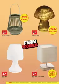 Yess folder Pagina 7: Lantaarn doni €2,99, Paddenstoel €9,99