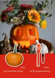 Plantagen annonsblad Sida 3: 30% på alla lyktor лиш 79,90 39,95 Liten Halloween Pumpa Set för pumpautskärning