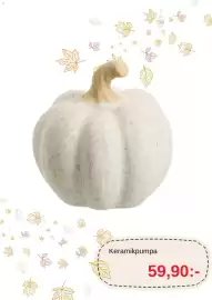 Blomsterlandet reklamblad vecka 43 Sida 3: Keramikpumpa €59,90