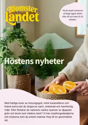 Blomsterlandet (giltig till och med 25-10)