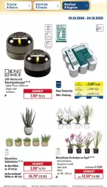 METRO Prospekt woche 43 Seite 48: DPI Künstliche Orchidee im Topf €12,59, KONST SMIDE LED-Kerze mit Rauchglaskuppel €7,99