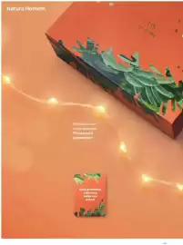 Catálogo Natura Página 12