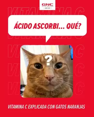 GNC (válido hasta 17-10)