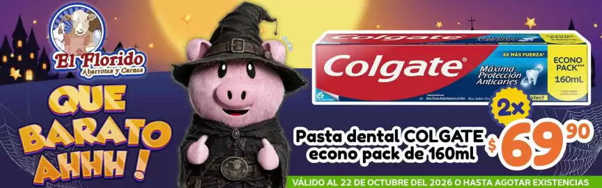Folleto El Florido Página 2
