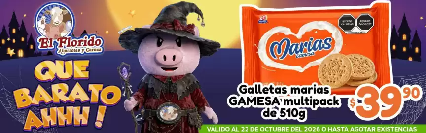 Folleto El Florido Página 3