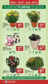 Folleto ALDI semana 42 Página 18