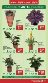 Folleto ALDI semana 43 Página 15