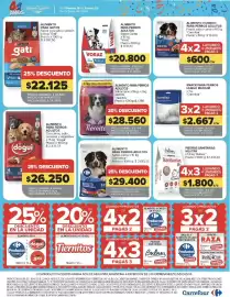 Catálogo Carrefour semana 42 Página 24: Carrefour alimento para perros adultos sabor carne €29.400,00
