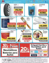 Catálogo Carrefour semana 42 Página 25: Pinteface latex interior €45.000,00, Colorin latex interior exterior €103.140,00