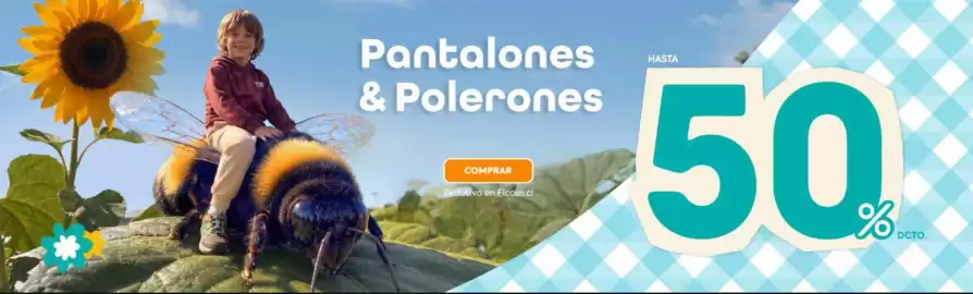 Catálogo Ficcus Página 1
