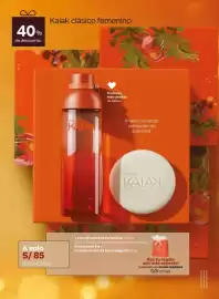 Catálogo Natura Página 11