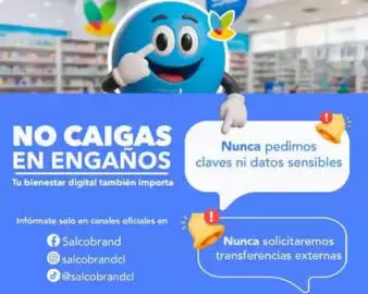 Catálogo Salcobrand Página 16