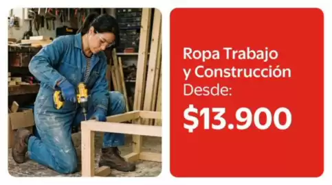 Catálogo Lider Página 5: Ropa trabajo y construccion €13.900,00