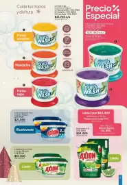 Catálogo Nova Venta Página 171: Axion bicarbonato 7 en 1 €21.050,00, Axion Limón €43.300,00