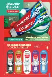 Catálogo Nova Venta Página 197