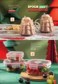 Catálogo Nova Venta Página 33