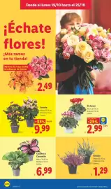 Catálogo Lidl semana 43 Página 56