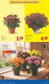 Catálogo Lidl semana 43 Página 57