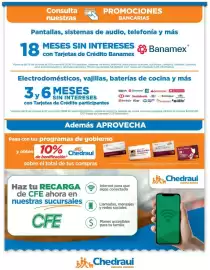 Folleto Chedraui Página 19