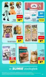 Carrefour gazetka Strona 7: SUPER BENEK €12,99, Żwirek bentonitowy dla kota €8,99