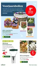 Welkoop folder Pagina 11