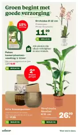 Welkoop folder Pagina 8: Groen begint met goede verzorging 15% korting Orchidee Ø 12 cm Phalaenopsis (Flower Symphonie)