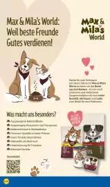 Lidl Prospekt woche 43 Seite 16