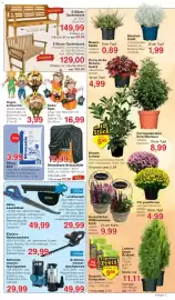 Jawoll Prospekt woche 43 Seite 7: Strandkorb-Schutzhülle €19,99, Streusalz €3,99