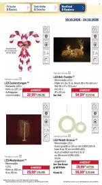 METRO Prospekt woche 43 Seite 13: Tarrington House LED Metall-Kränze €39,99, Tarrington House LED Zuckerstangen €32,99