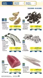METRO Prospekt woche 43 Seite 36: Pulpo €20,78, PRO TRACE Forelle €9,19