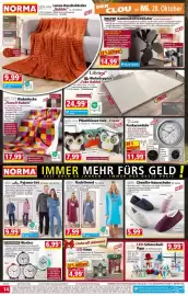 Norma Prospekt woche 44 Seite 14: Chenille-Hausschuhe für Damen €5,99, Bella casa Plüschkissen Eule „Frieda“ €7,99