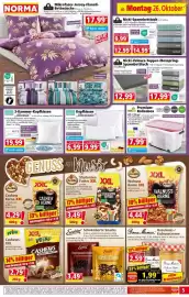 Norma Prospekt woche 44 Seite 5: TOPTEX Premium-Rollenbox €7,99, 3-Kammer-Kopfkissen "Allessia" €19,99