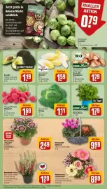 REWE Prospekt woche 43 Seite 11: Wirsing €1,11, REWE Bio Bio Basilikum €1,79