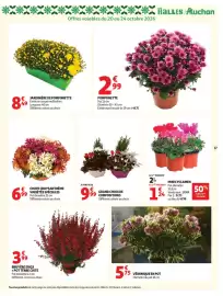 Catalogue Auchan | Automne, Halloween hypers page 37