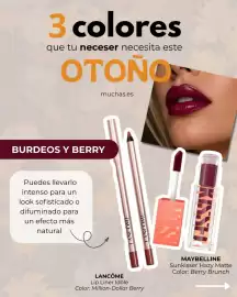 Folleto Muchas Perfumerías semana 42 Página 2
