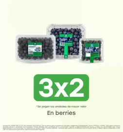 Catálogo Tottus semana 42 Página 2