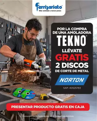 Ferrisariato (válido hasta 1-11)