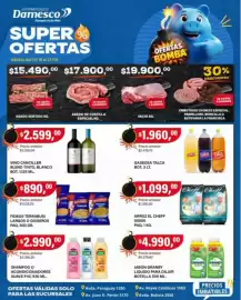 Catálogo Supermercados Damesco semana 42 Página 2