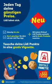 Lidl Flugblatt woche 43 Seite 12