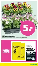 Ranzijn folder Pagina 14: POTGROND RANZIJN €4,99, WINTERVIOLEN €5,00