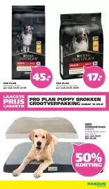 Ranzijn folder Pagina 3: HONDENKUSSEN SCRUFFS €44,98, PRO PLAN €17,00